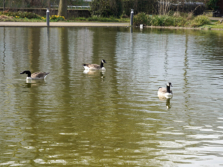 Grugapark Essen