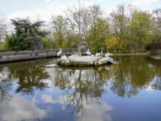 Alwetterzoo Münster Alwetterzoo Münster