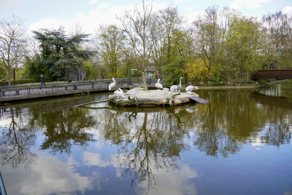 Alwetterzoo Münster Alwetterzoo Münster