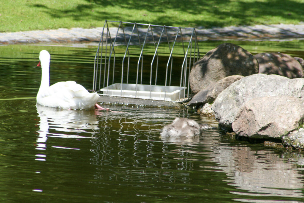 Berliner Zoo