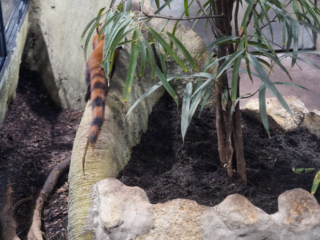 Alwetterzoo Münster Alwetterzoo Münster