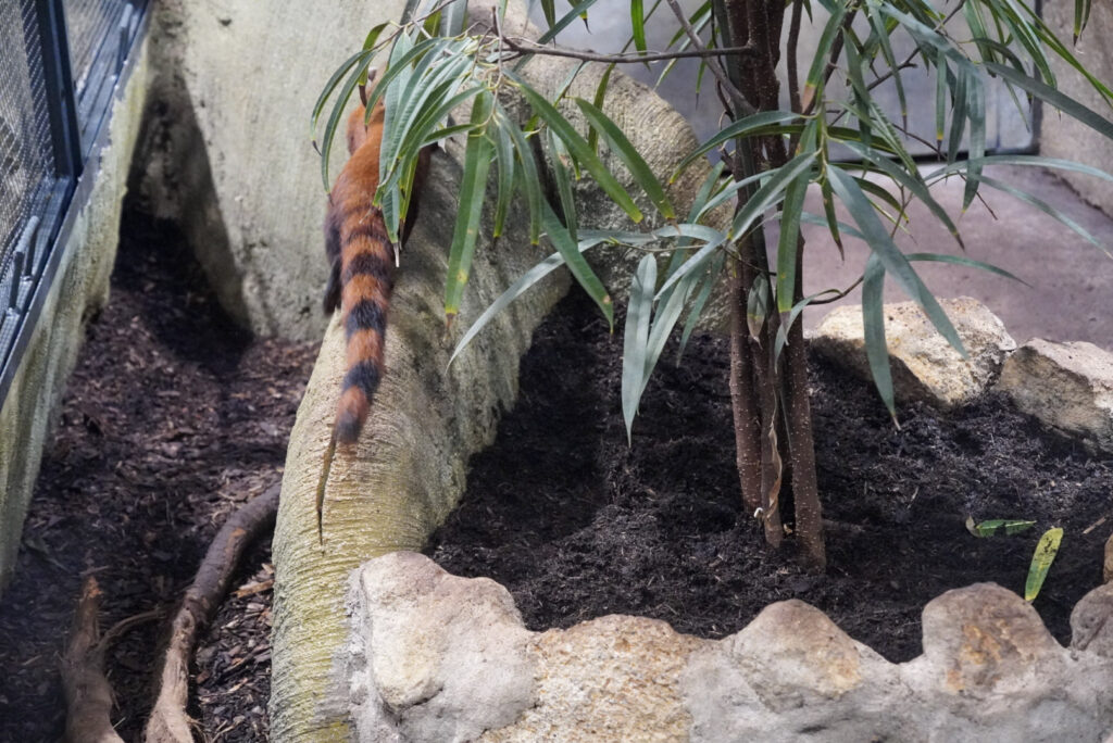 Alwetterzoo Münster Alwetterzoo Münster