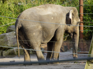 Alwetterzoo Münster Alwetterzoo Münster