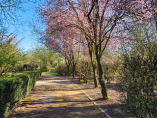 Br&uuml;ckenkopfpark J&uuml;lich