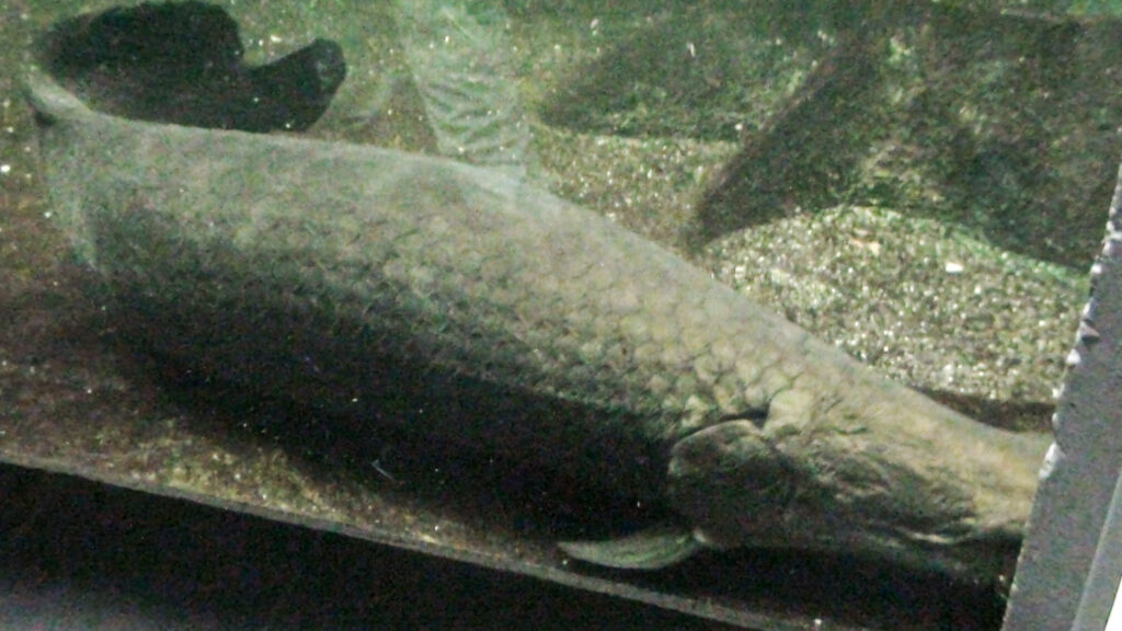 Berliner Zoo