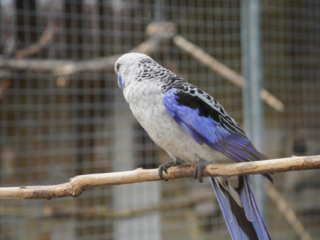 Grugapark Essen