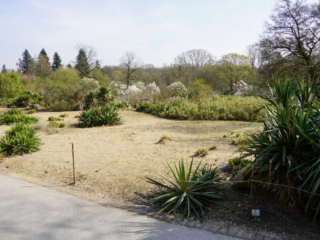 Grugapark Essen