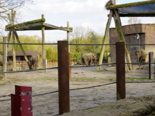 Alwetterzoo Münster Alwetterzoo Münster