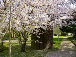 Grugapark Essen