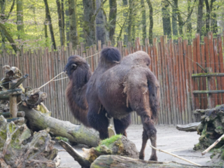 Alwetterzoo Münster Alwetterzoo Münster