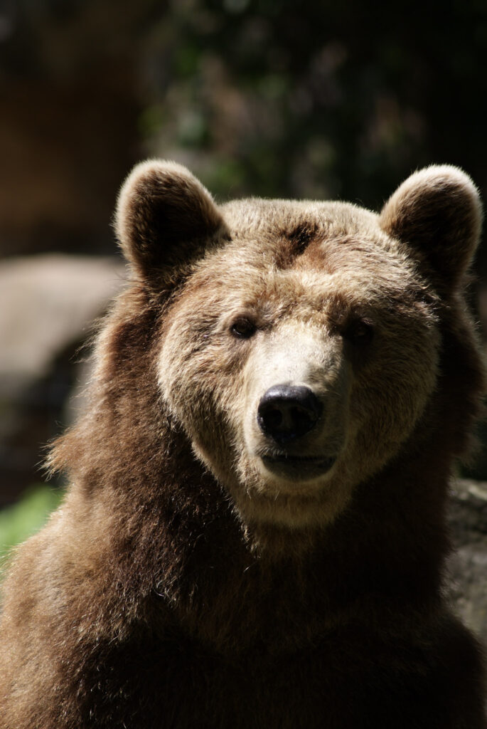 Berliner Zoo