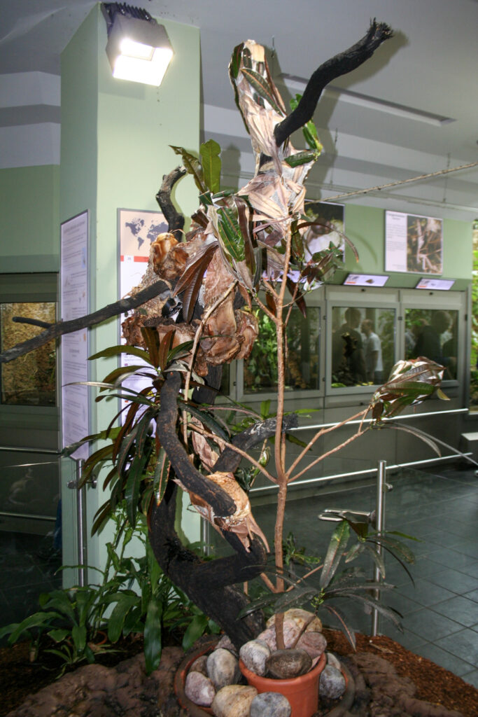 Berliner Zoo