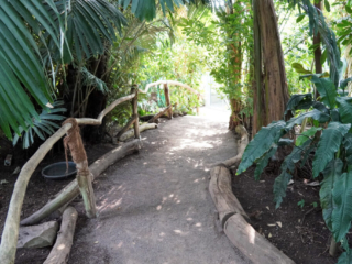 Grugapark Essen