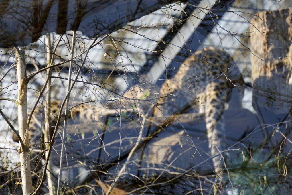Alwetterzoo Münster Alwetterzoo Münster