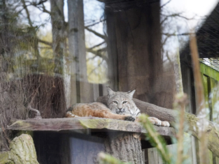 Alwetterzoo Münster Alwetterzoo Münster