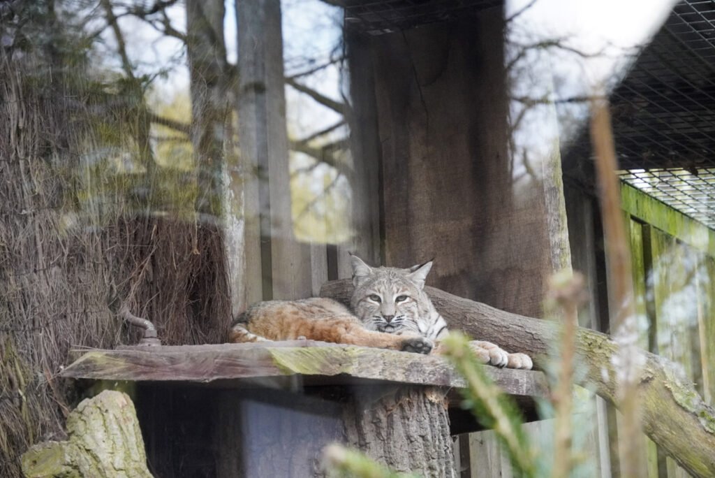 Alwetterzoo Münster Alwetterzoo Münster