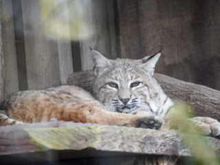 Alwetterzoo Münster Alwetterzoo Münster
