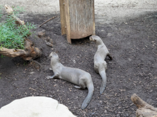 Alwetterzoo Münster Alwetterzoo Münster