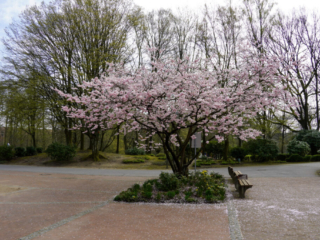 Grugapark Essen