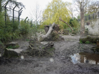 Alwetterzoo Münster Alwetterzoo Münster