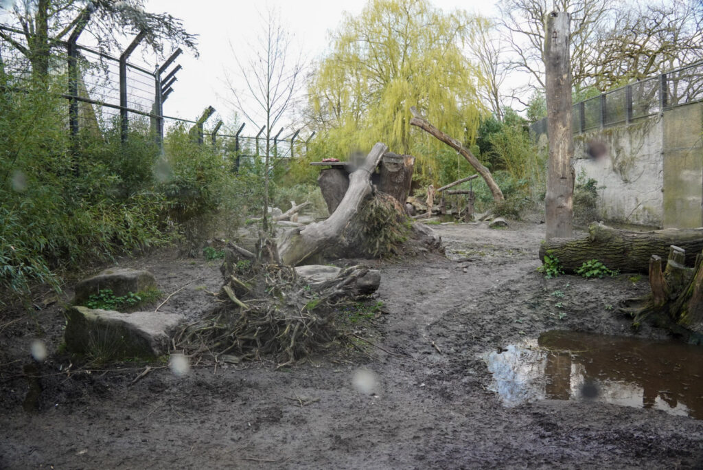 Alwetterzoo Münster Alwetterzoo Münster