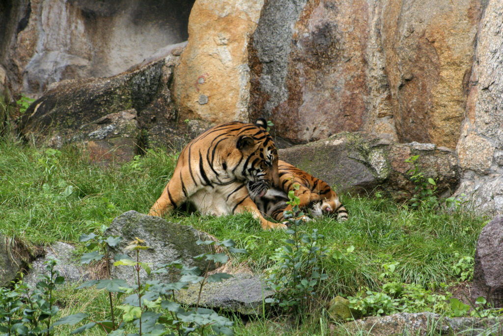 Berliner Zoo