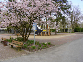 Grugapark Essen