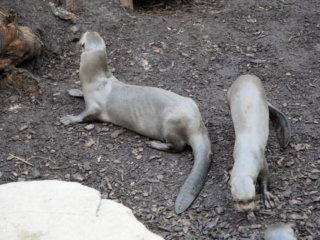 Alwetterzoo Münster Alwetterzoo Münster