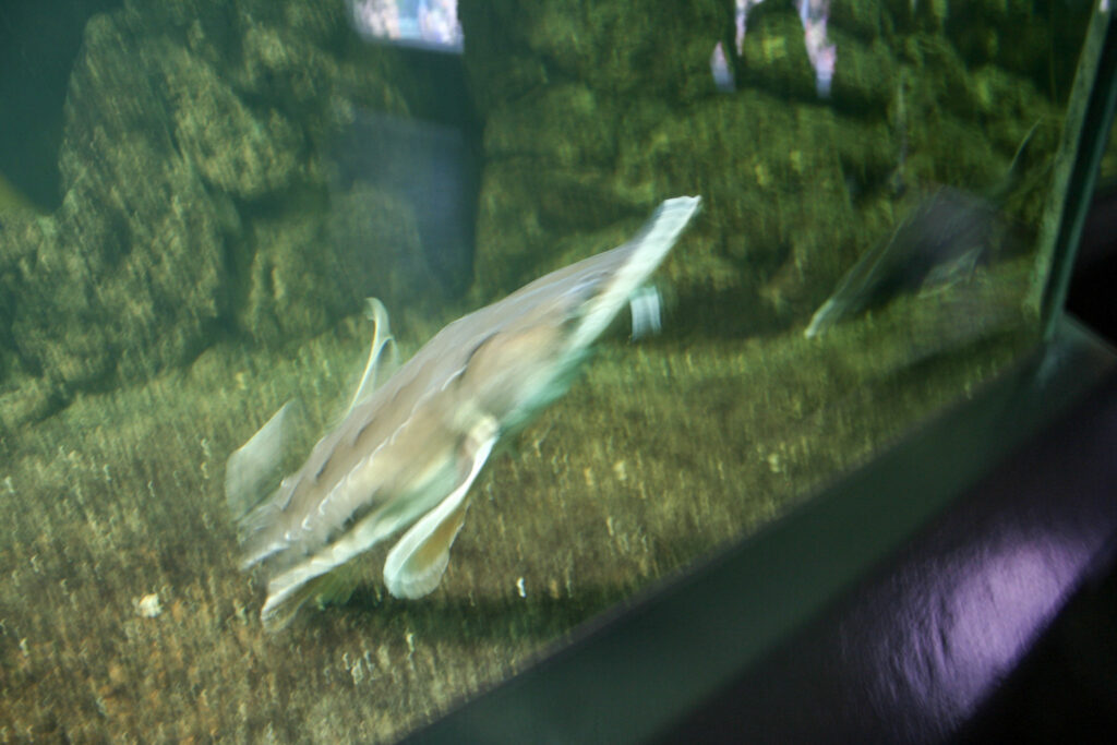 Berliner Zoo