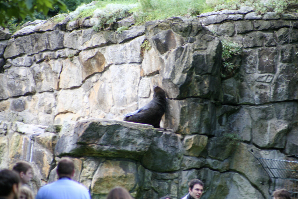 Berliner Zoo