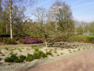 Grugapark Essen