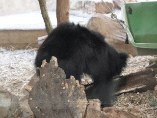 Alwetterzoo Münster Alwetterzoo Münster