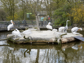 Alwetterzoo Münster Alwetterzoo Münster