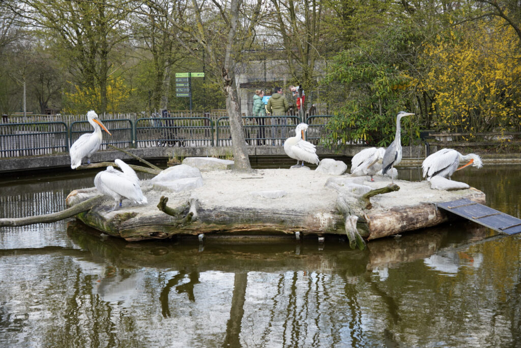 Alwetterzoo Münster Alwetterzoo Münster