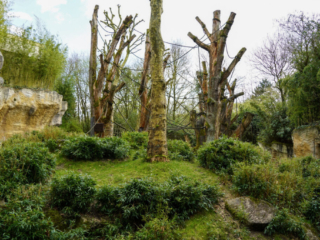 Alwetterzoo Münster Alwetterzoo Münster