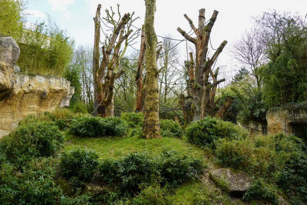 Alwetterzoo Münster Alwetterzoo Münster