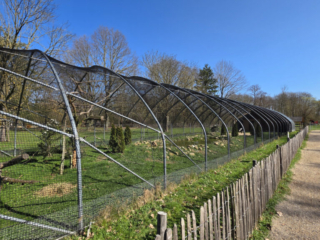 Br&uuml;ckenkopfpark J&uuml;lich