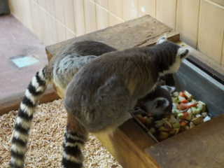 Alwetterzoo Münster Alwetterzoo Münster