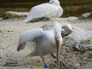 Alwetterzoo Münster Alwetterzoo Münster