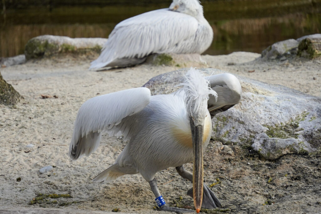 Alwetterzoo Münster Alwetterzoo Münster