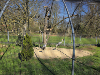 Br&uuml;ckenkopfpark J&uuml;lich