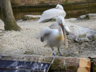 Alwetterzoo Münster Alwetterzoo Münster