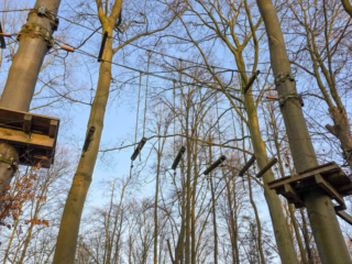 Drachenlichter im Br&uuml;ckenkopfpark J&uuml;lich