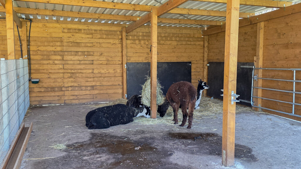 Br&uuml;ckenkopfpark J&uuml;lich