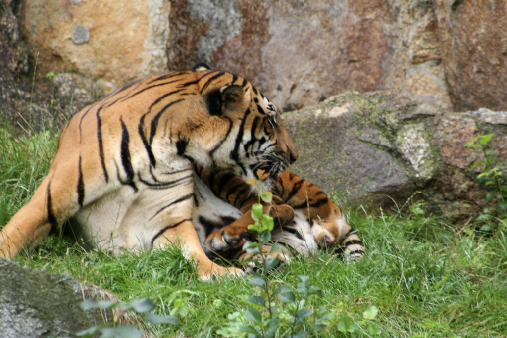 Berliner Zoo
