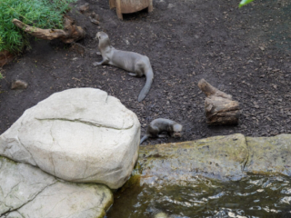 Alwetterzoo Münster Alwetterzoo Münster