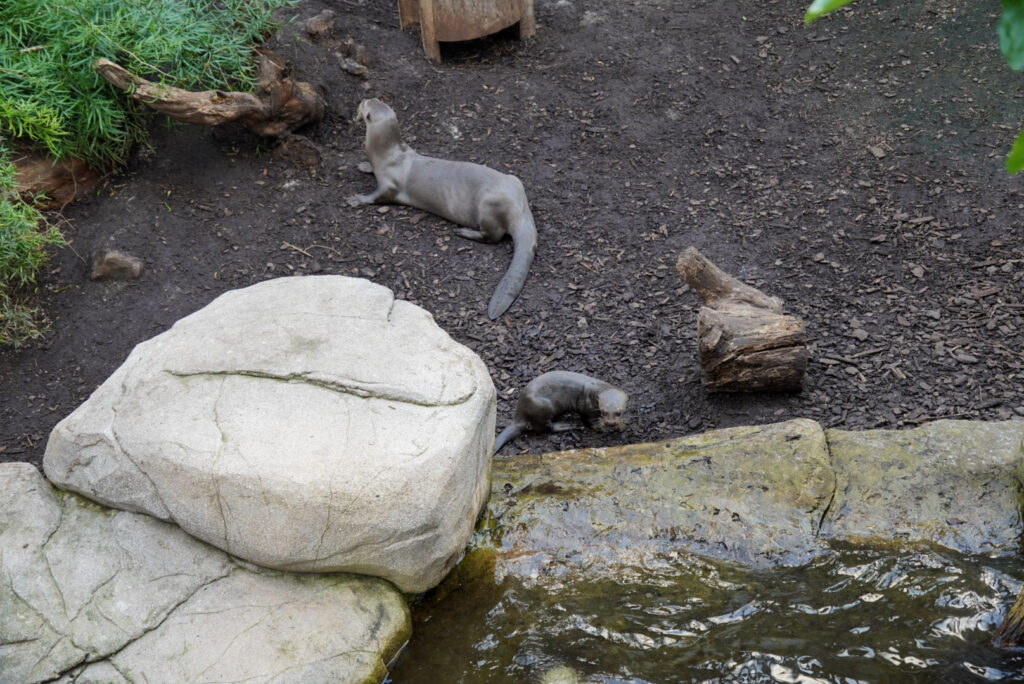 Alwetterzoo Münster Alwetterzoo Münster
