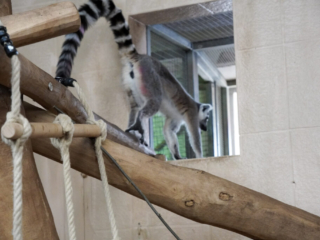 Alwetterzoo Münster Alwetterzoo Münster