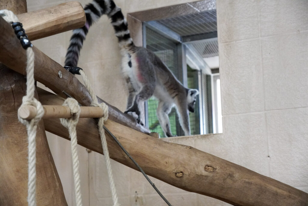 Alwetterzoo Münster Alwetterzoo Münster