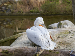 Alwetterzoo Münster Alwetterzoo Münster